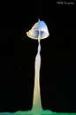 Milk Drop #3