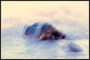 Im Wasser eingehüllt