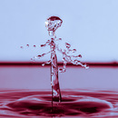 Und aus dem Wasser entstieg ein Skelett...