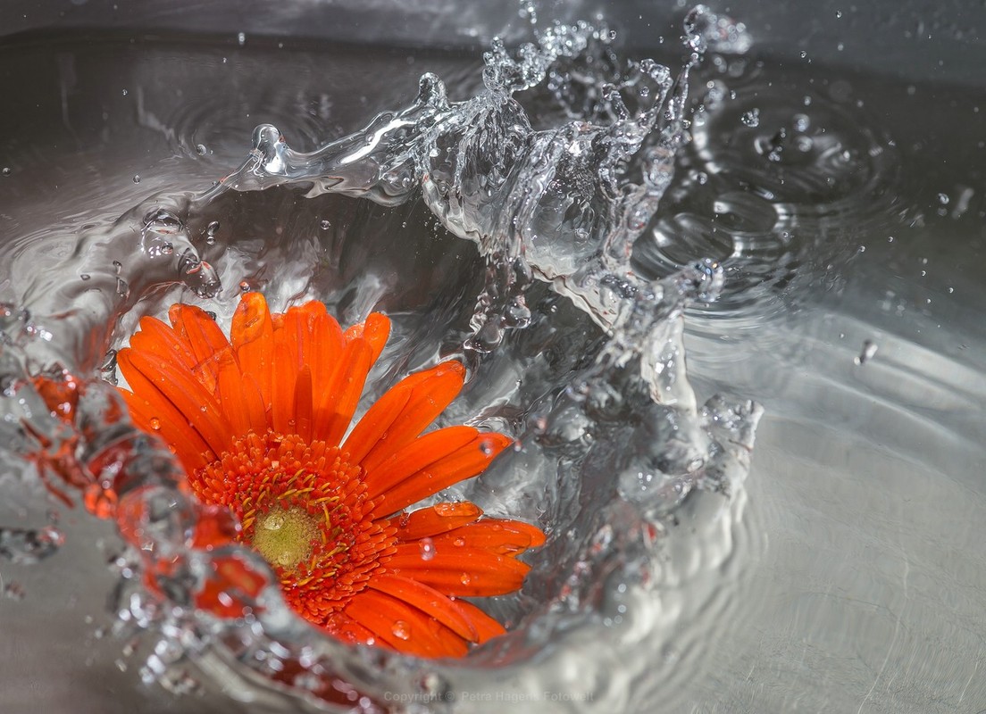wasserspiele