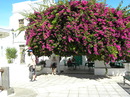 Fotos_Erwachsene