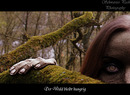 Model : Loraija
