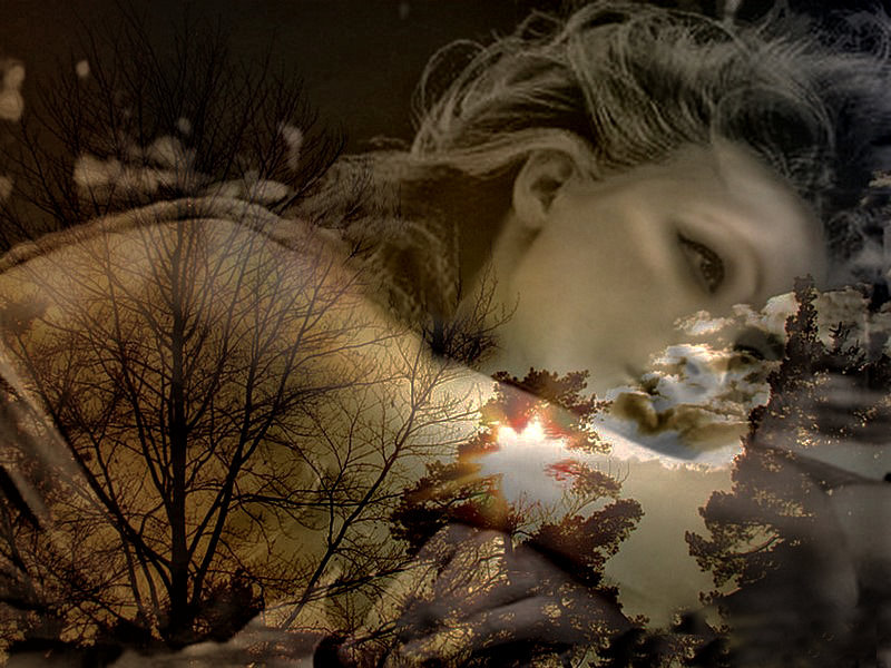 Daydreams