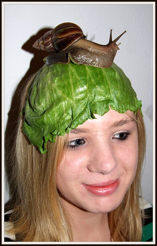 Ein Kopfsalat ???