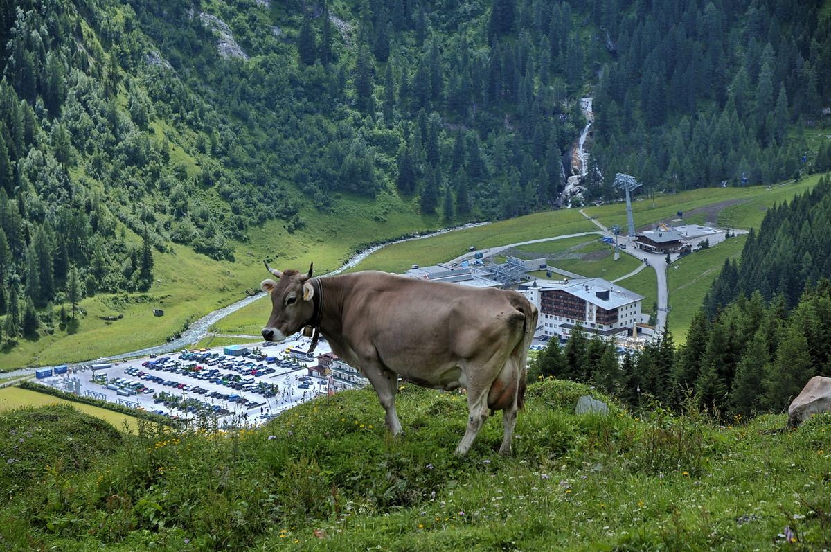 Bei dem Anblick wird meine Milch gleich Sauer...