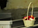 Fotos_Hochzeitsfotografie