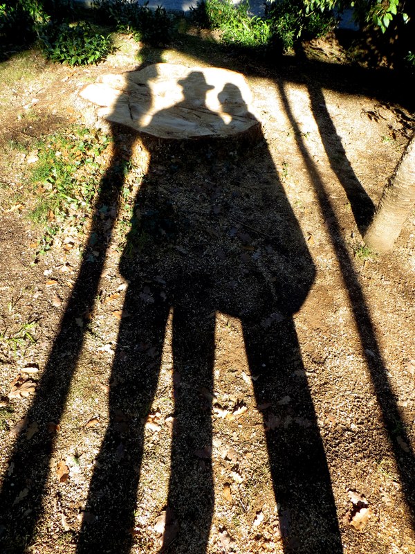 Unser zweier Schatten