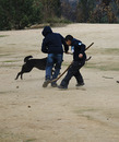 Palin : Mapuche Sport