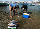 Men @ work (1)