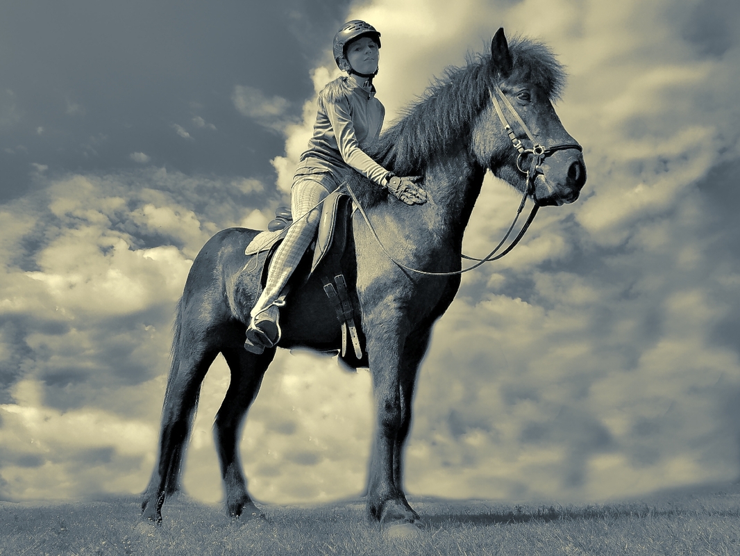Celina und der kleine Rappe