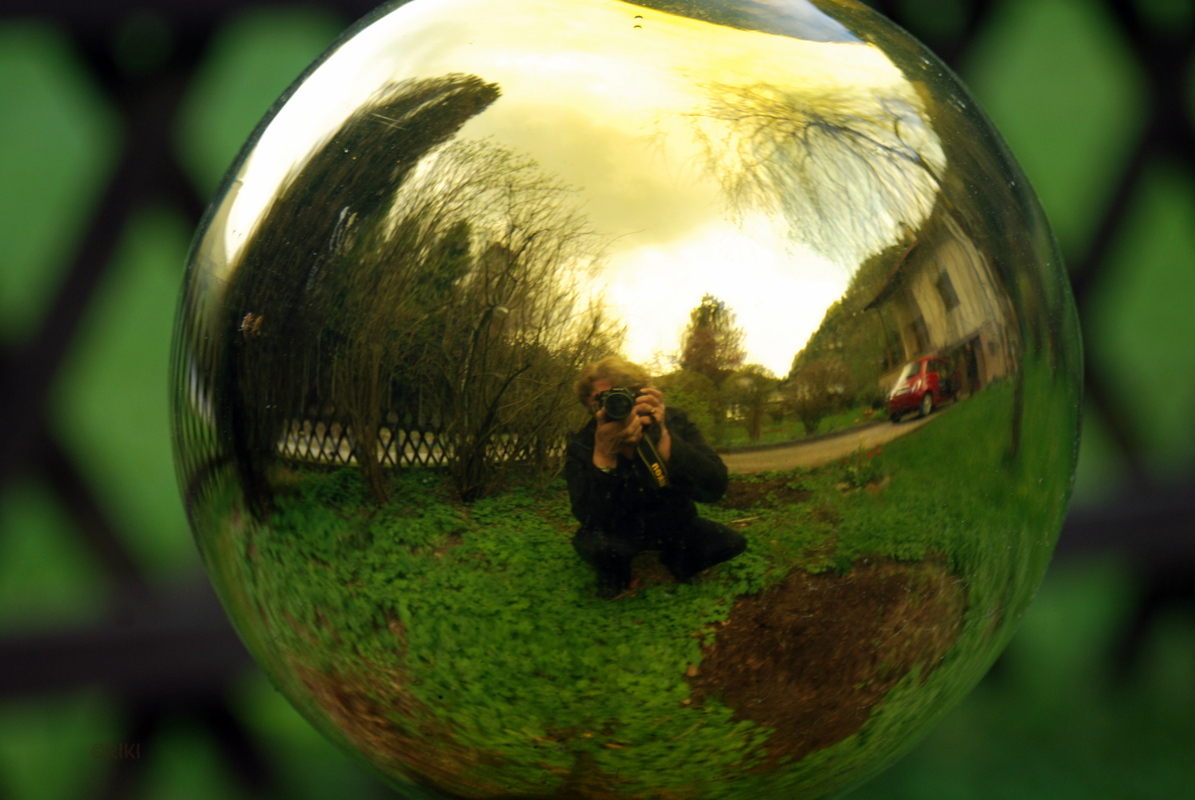 Spiegelung in der Rosenkugel