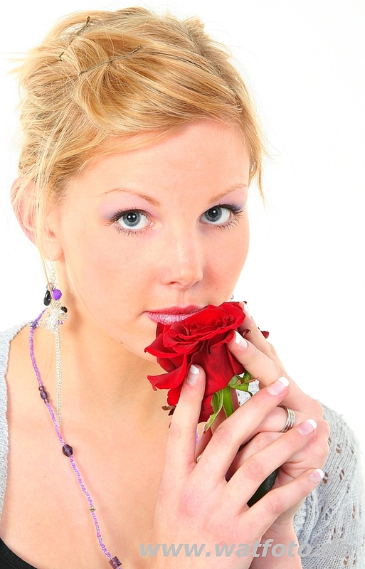 Duft der Rose