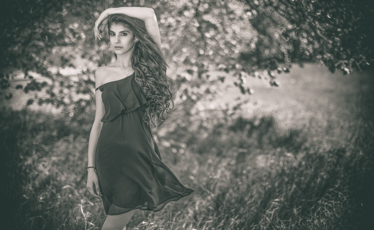 "The Naughty Lady of Shady Lane"