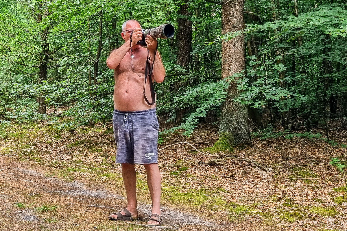 Im Wald fotografieren