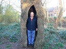 Mein Freund, der Baum