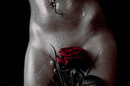 -Morgentau-