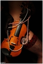 violin and pearls