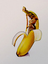 Fotos_Experimente