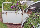 BLUMEN-AUTO