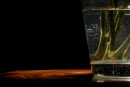 Lichtspiel