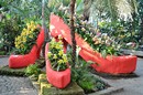 Frauenschuhe