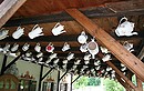 Fotos_Sonstige Stilleben