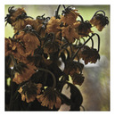gone flowers