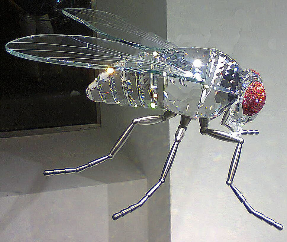 Fliege