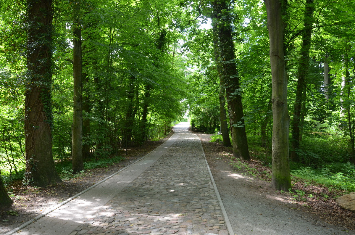 Gut Sandbeck