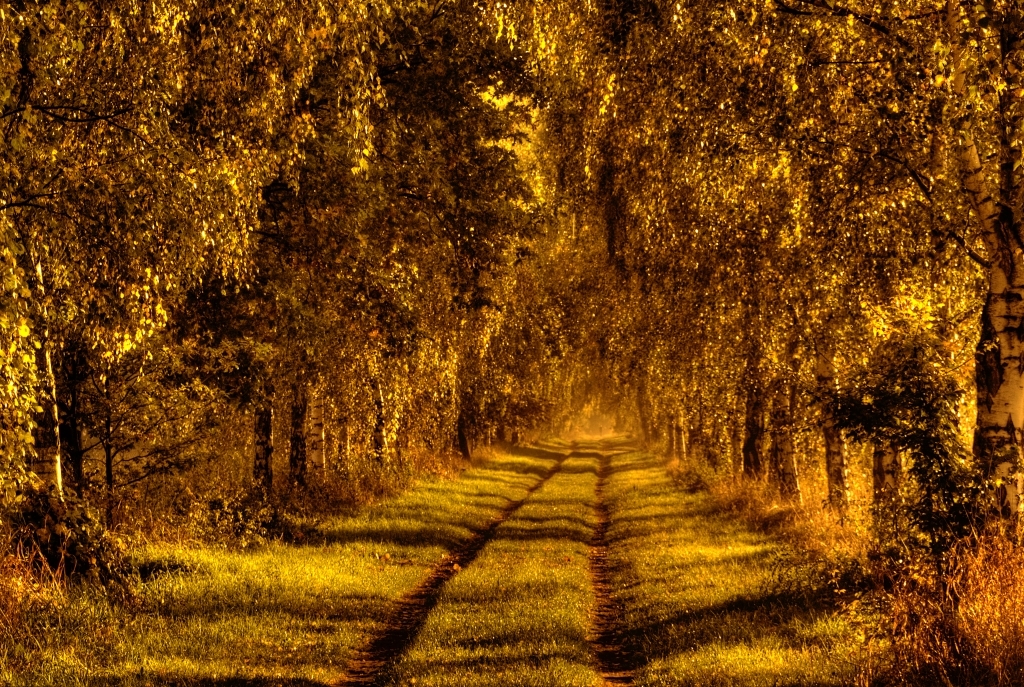 Der Weg ist lang