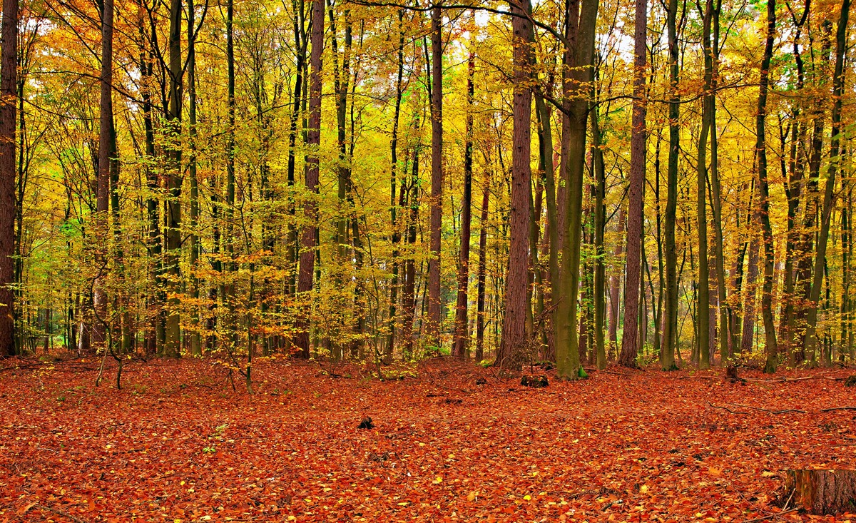 Herbst 2