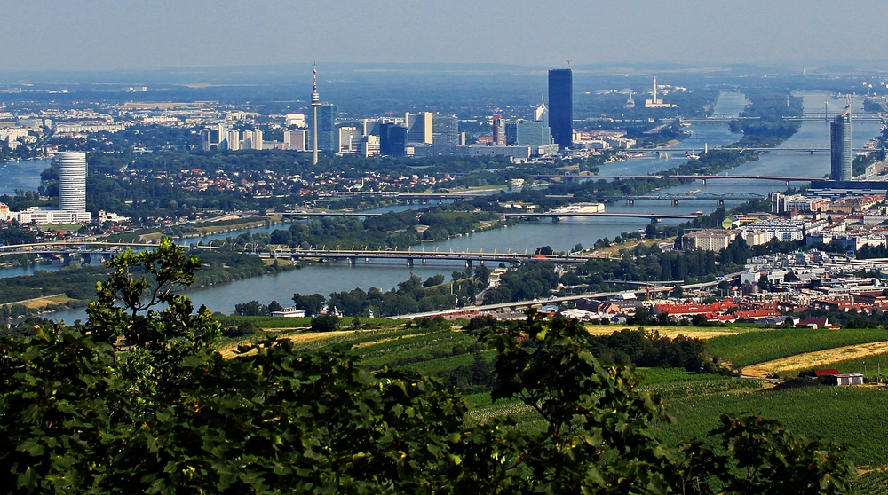 Panorama- Wien Kahlenberg