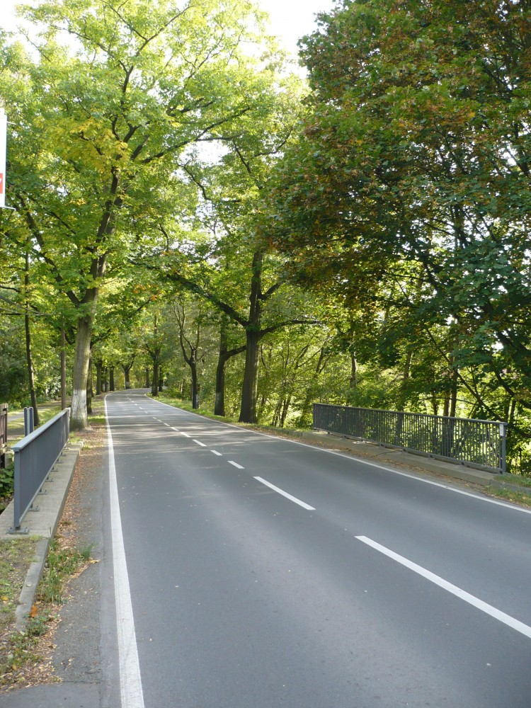 eine brandenburger Allee