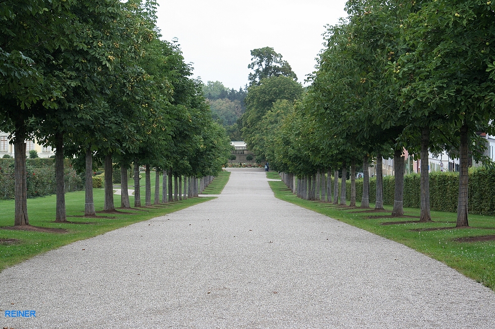 Allee