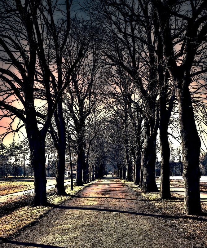 Der Weg zum Wald