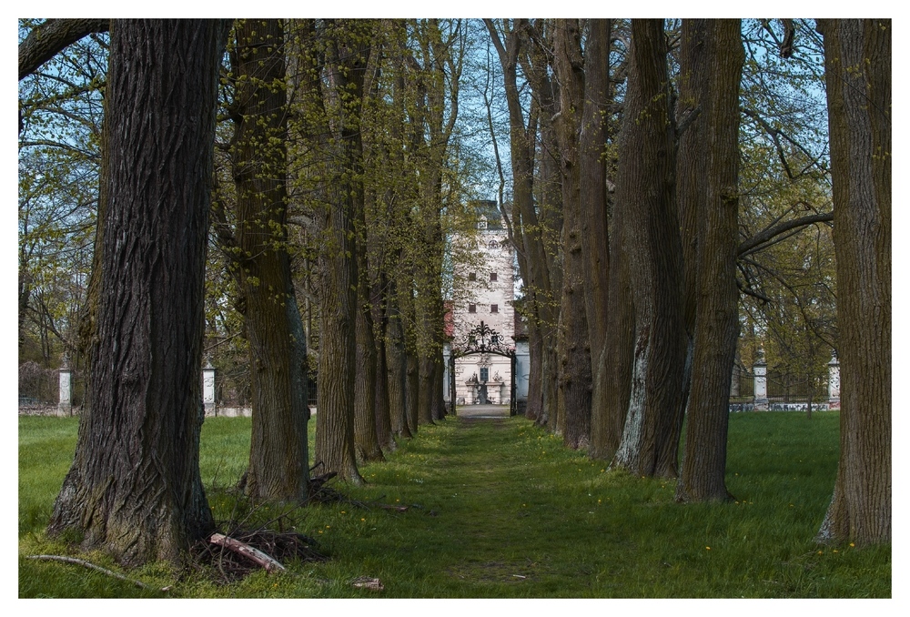 Lindenallee