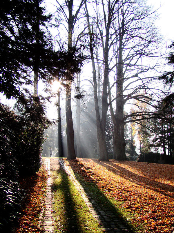 Wege im Licht