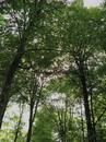 Fotos_Schweden