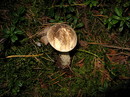 Fotos_Schweden