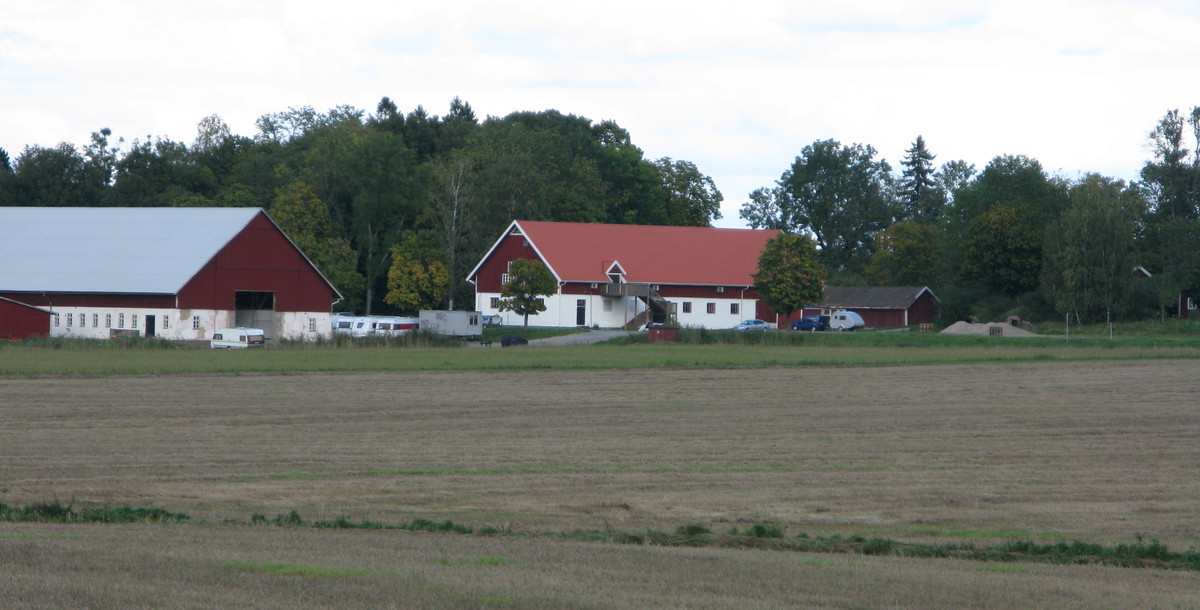Blick über die Felder zu unser aller "Arbeitsstätte" hin (12. September 2008) --- 3. Foto ---