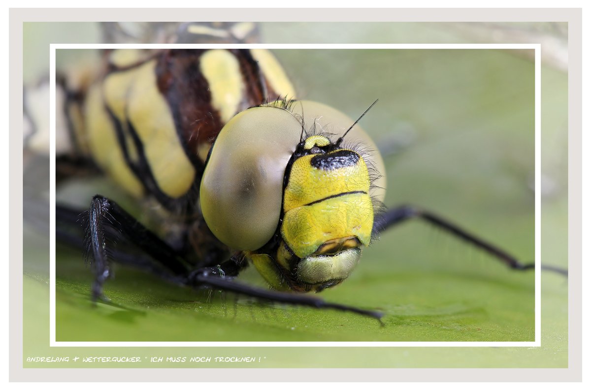 Ich muss noch trocknen!