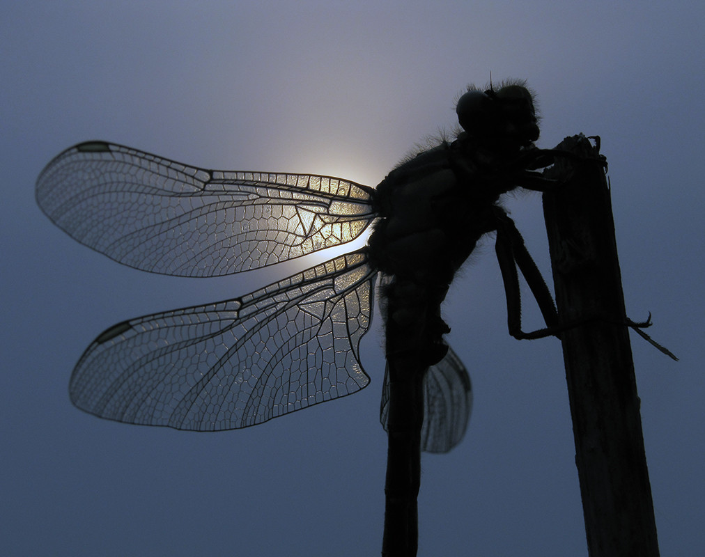 guten Abend...