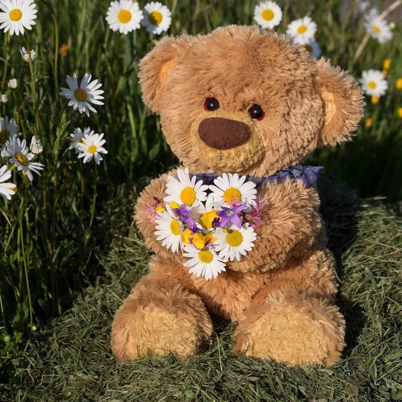 Teddy mit Blumen