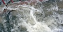 Pfiffelbacher Bach nimmt zu