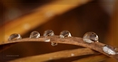 Fotos_Wasser (Elemente)