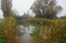 Unser Teich zu Allerheiligen.....