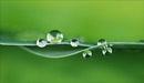 Fotos_Wasser (Elemente)