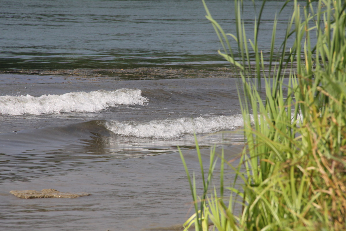 kleine Wellen am Rhein