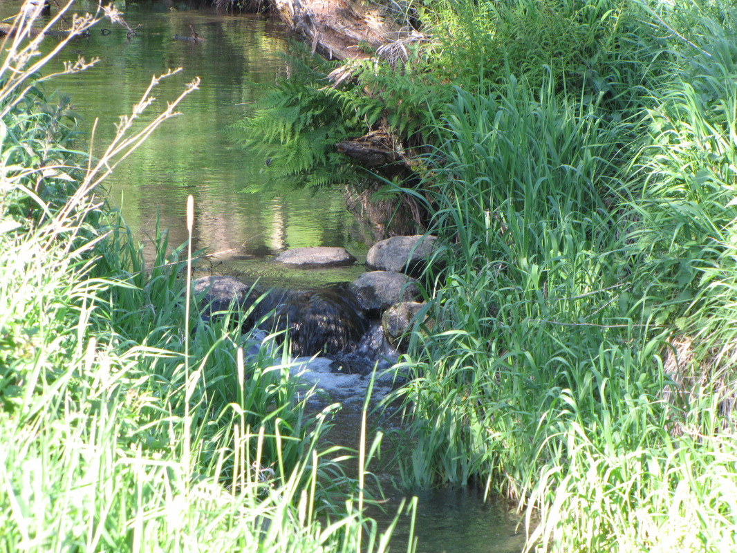 Bachlauf