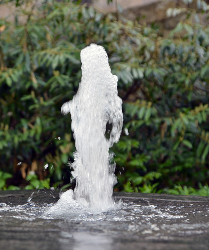 Wasserfrau